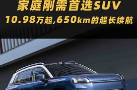 650km的超长续航，舒适性大大升级，埃安霸王龙家庭版售价10.98万起