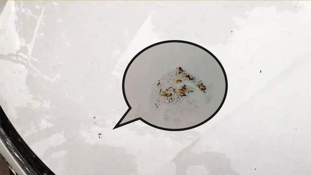 危害车漆的三大因素，你都遇到过吗？