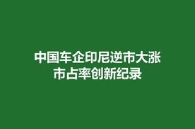 中国车企印尼逆市大涨，市占率创新纪录