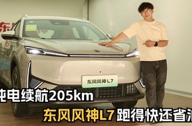 12.99万，纯电续航205km的