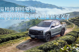 从拉货到拉宠物，皮卡的价值又被大通重新定义了