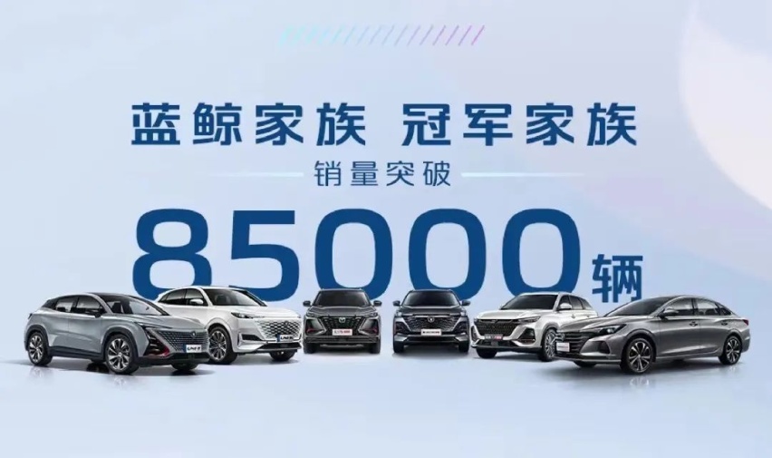 多维度布局未来，长安汽车逆市大涨背后有何销量密码？