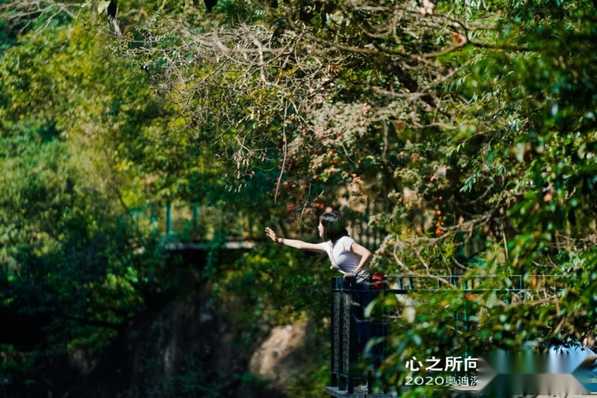 “心之所向，媒好同行”——2020奥迪深圳区域媒体答谢会