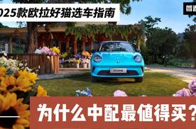 权益后顶配不到10万 2025款欧拉好猫选车指南 为什么要选中配？