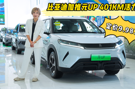 比亚迪加推元UP 401KM活力版，定价9.98万