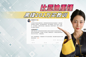 比亚迪带头整治网络“黑嘴”，法判索赔百万！下一个会是谁？