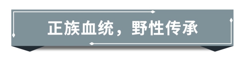 试驾奔驰G350,这才是属于男人的浪漫
