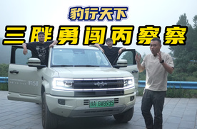 豹行天下，三胖勇闯丙察察