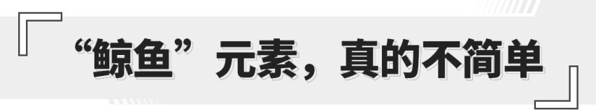仿生学造车 前脸酷似鲸鱼！荣威鲸是国货品牌之光？！