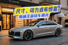 尺寸或超奔驰S级！奥迪全新轿车曝光：插混也有戏？