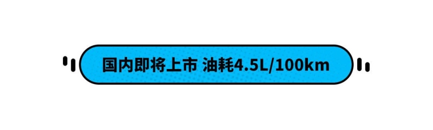 16万起售绝对卖爆！丰田又推新SUV 油耗只要4.5L？