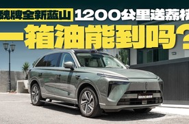 开魏牌全新蓝山送荔枝，1200公里一箱油能到吗？