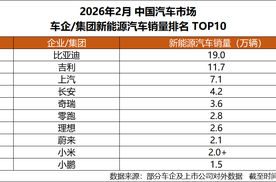 比亚迪稳坐2月新能源销冠，头部优势依旧明显