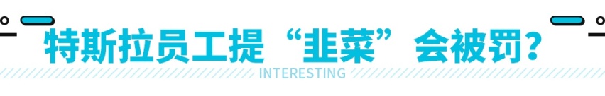 20万的特斯拉还没来，17万的新车已敲定！呵 韭菜啊