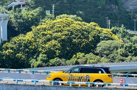 科技与热爱共赴山城，问界M9化身“库里战车”千里追星