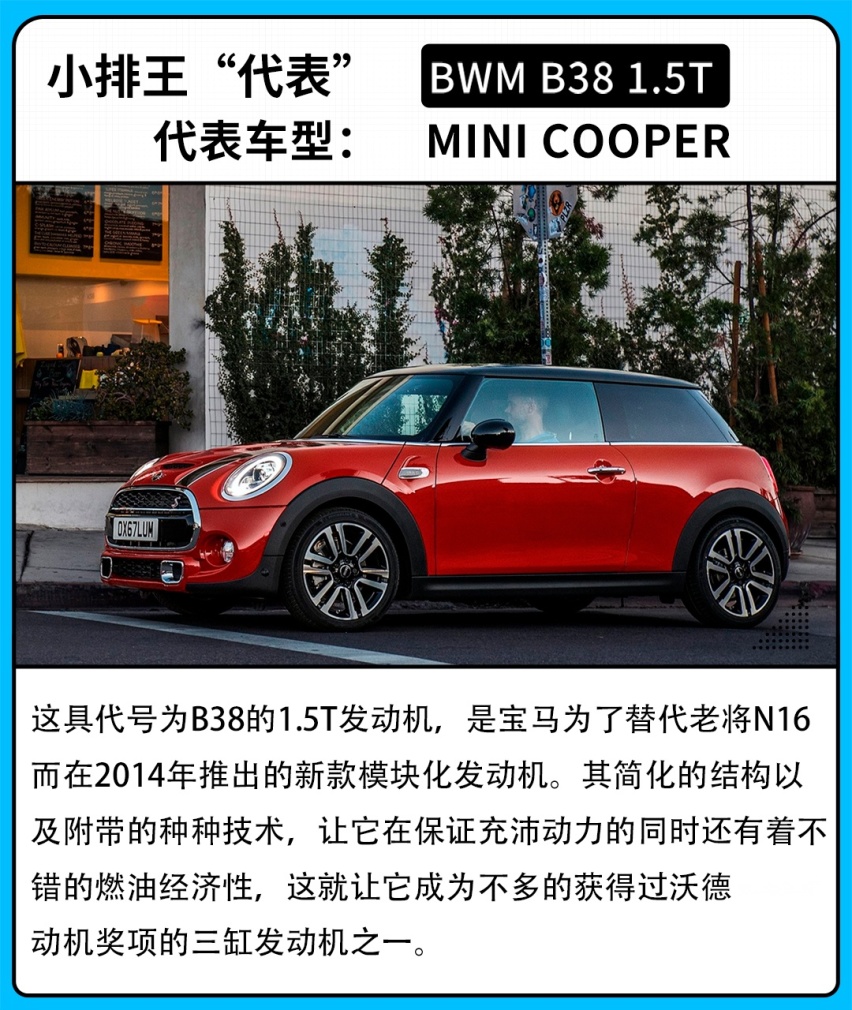 明明大家都带“T”，为什么这些小个子更加猛？