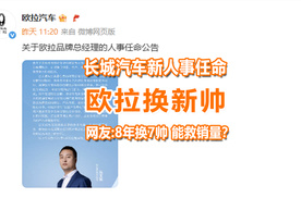 欧拉喜提新总经理，网友：8年换7帅，如何救销量？