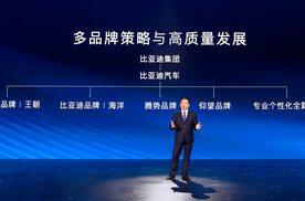 星星之火可以燎原，比亚迪明年将推两个全新品牌