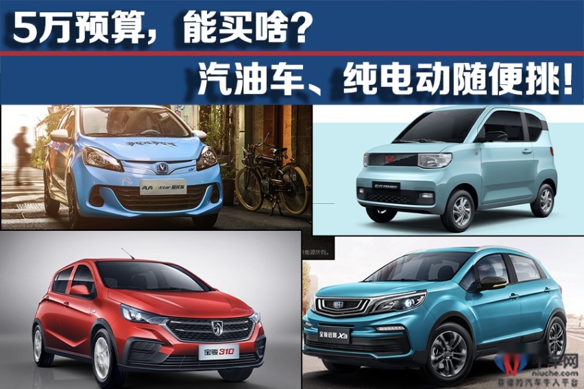 5万预算，能买啥？汽油车、纯电动随便挑！