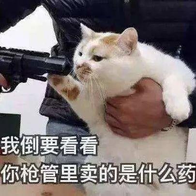 车牌防伪图案火了！除了药材和文物这个省车牌上竟然还有错别字？