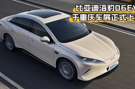 年轻人的第一辆纯电轿跑！海豹06EV上市：冰箱座椅+高阶智驾，10.98万颠覆市场