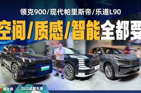 大六座豪华SUV被新中式统治：现代帕里斯帝/领克900/乐道L90