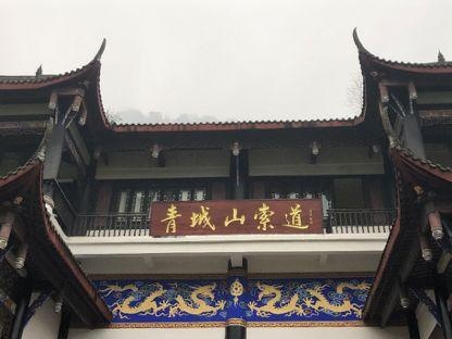 110元从成都往返雅安可能吗 BMWX1系电动做到了
