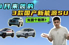 主流汽车厂商集体出手，1月3款重磅新能源SUV，咱先混个脸熟？