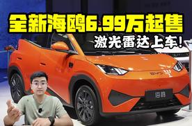 激光雷达上车！ 全新海鸥6.99万起售