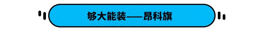 30万只能买BBA大路货？这些车才能给你极致体验！