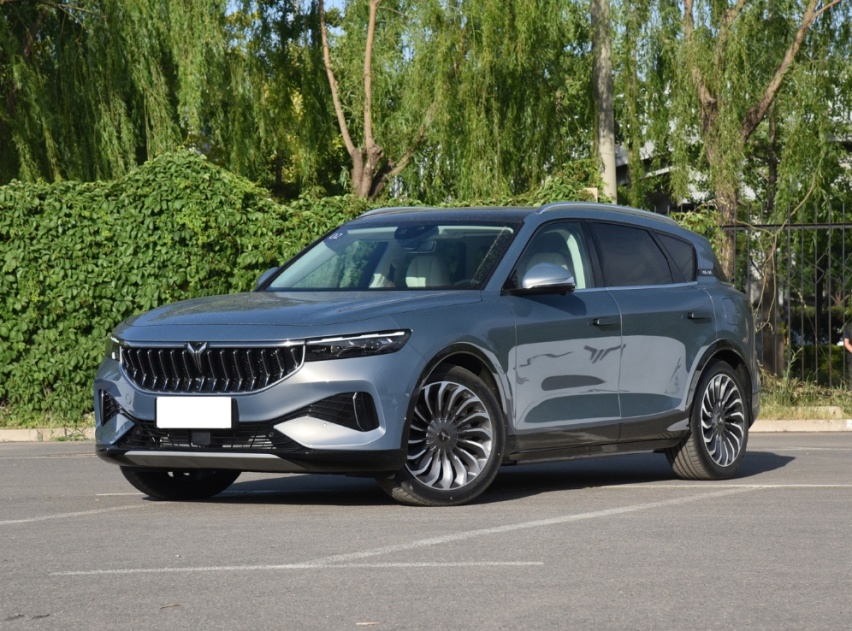 同是30万左右，国产新能源车SUV，岚图FREE和问界M5到底谁更强？