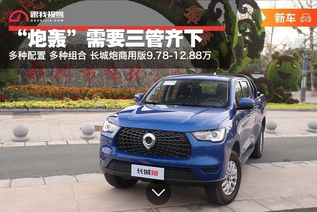 “炮轰”需三管齐下 多种配置多种组合 长城炮商用版9.78-12.88万