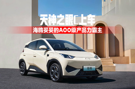 天神之眼C上车，海鸥妥妥的A00级产品力霸主