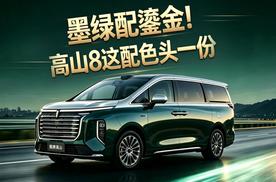 《小志看新车》墨绿配鎏金！魏牌高山8这配色头一份！