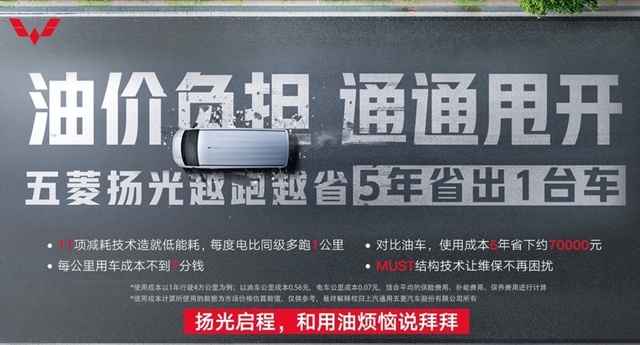 扬起时代之光 五菱对新能源商用车领域的新思考