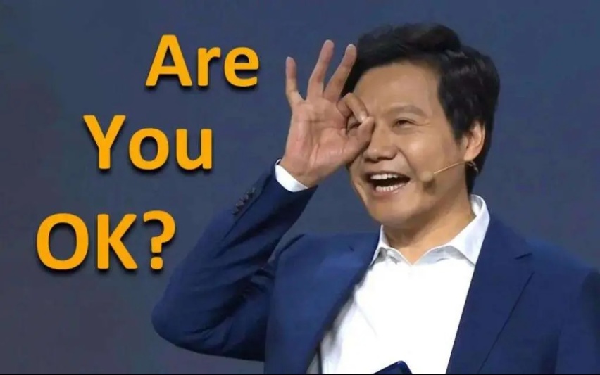 画大饼还是讲感情？雷军3年造车路10大经典语录，哪句最触动你？