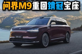 6月大型SUV放榜问界M9重回销冠宝座