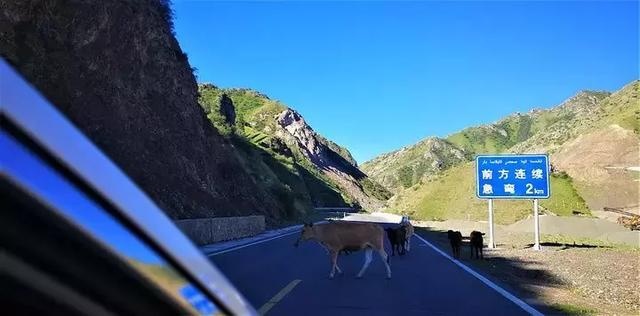 穿越独库公路,纵贯天山南北,新疆姑娘与瑞虎8的72小时