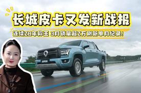 连续28年称王的长城皮卡又发新战报：3月销量超2万刷新单月纪录！凭啥？