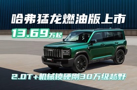2.0T+机械锁硬刚30万级越野，哈弗猛龙燃油版上市