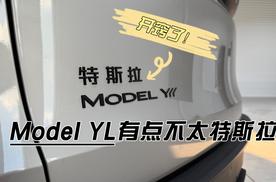 开窍了！Model YL有点不太特斯拉！