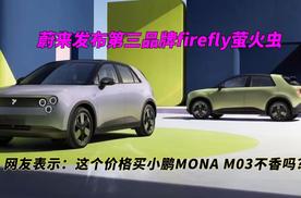 蔚来“萤火虫”发布，网友表示：这个价格买小鹏MONA M03不香吗?