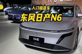 入门插混中级轿车，建议选顶配，云评东风日产N6