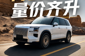 不靠低价换市场只靠价值立高端这才是中国豪华品牌该走的路#极氪