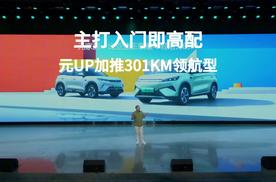 主打入门即高配 元UP加推301KM领航型