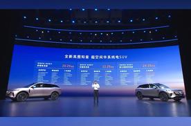20.29万元起售的全新岚图知音，全都通通配齐？