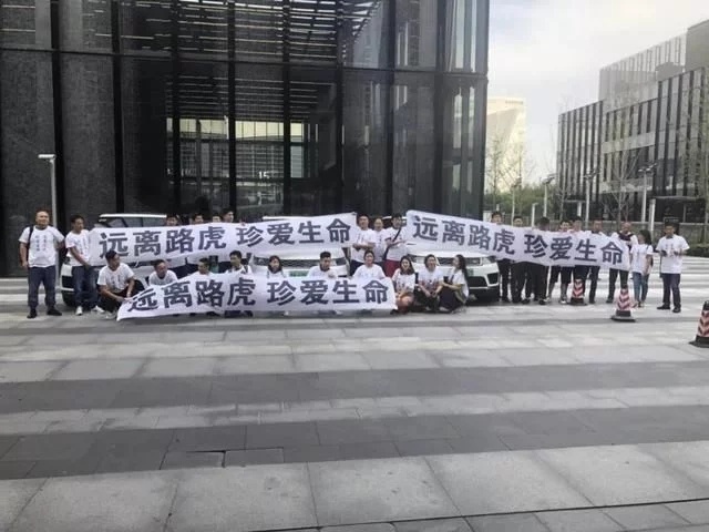 bao3.webp.jpg