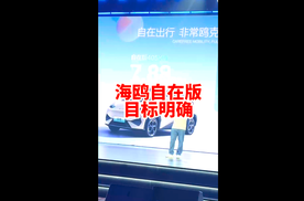 比亚迪海鸥这时候出405公里自在版的目的何在？