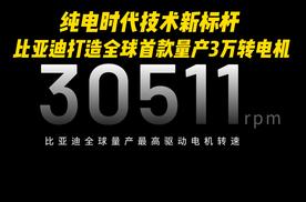 纯电时代技术新标杆 比亚迪打造全球首款量产3万转电机