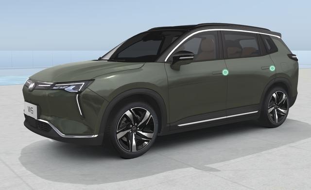 可无人自主泊车，20万元买威马W6，哪款更值得买？